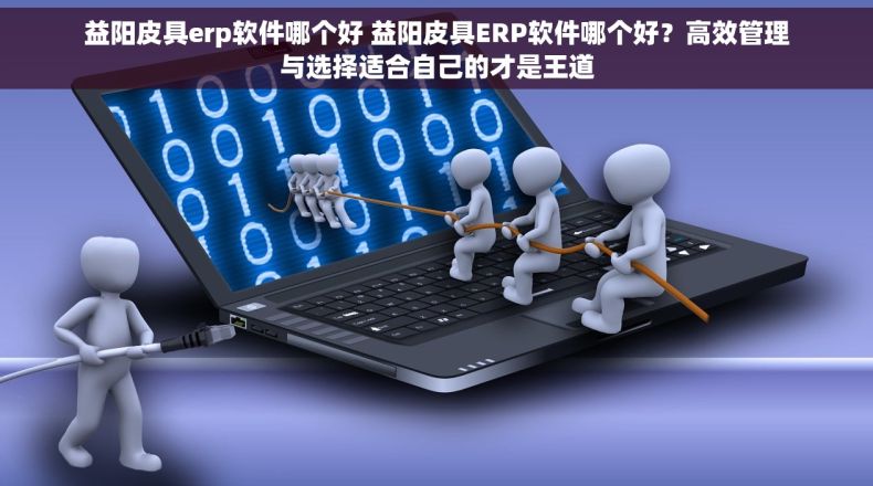 益阳皮具erp软件哪个好 益阳皮具ERP软件哪个好？高效管理与选择适合自己的才是王道