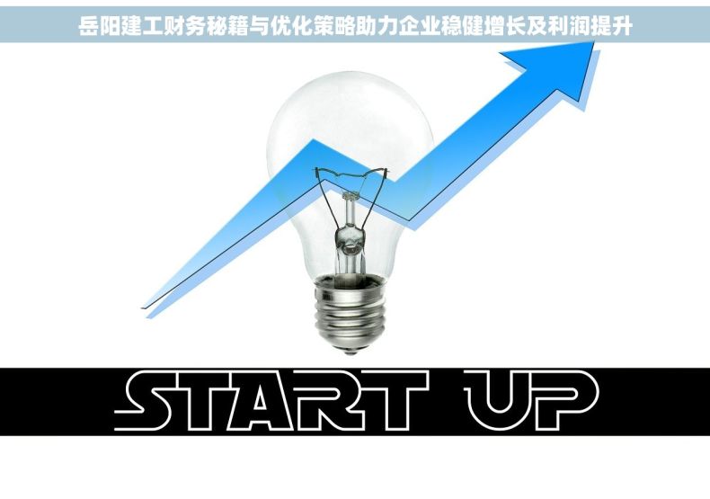 岳阳建工财务秘籍与优化策略助力企业稳健增长及利润提升
