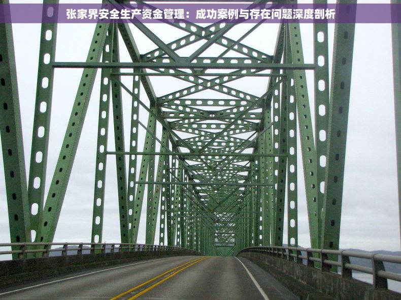 张家界安全生产资金管理：成功案例与存在问题深度剖析