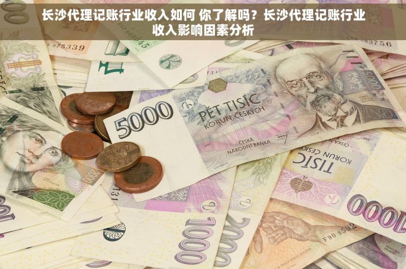 长沙代理记账行业收入如何 你了解吗？长沙代理记账行业收入影响因素分析