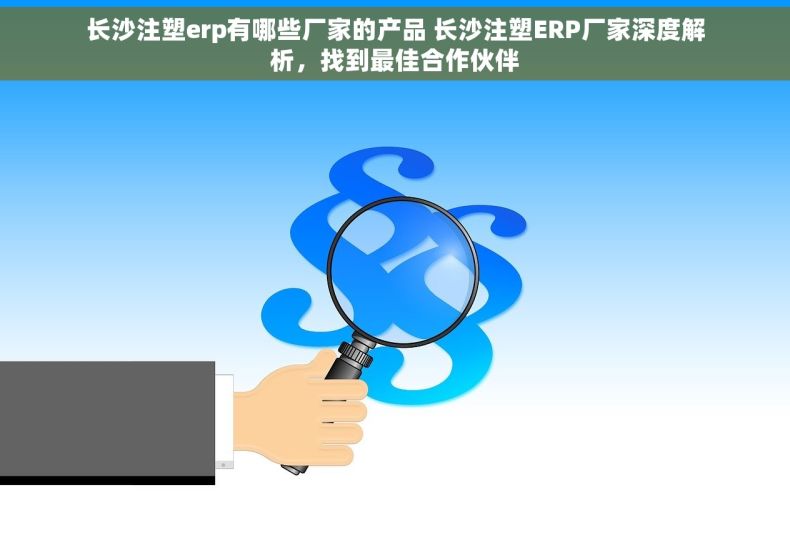 长沙注塑erp有哪些厂家的产品 长沙注塑ERP厂家深度解析，找到最佳合作伙伴