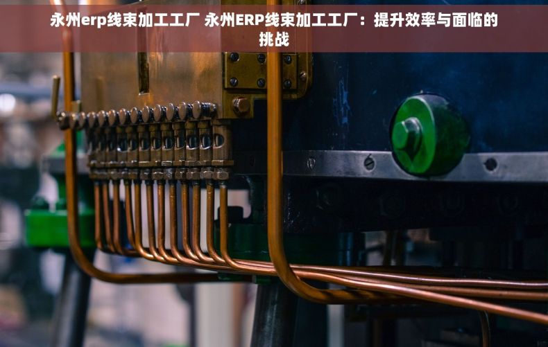 永州erp线束加工工厂 永州ERP线束加工工厂：提升效率与面临的挑战