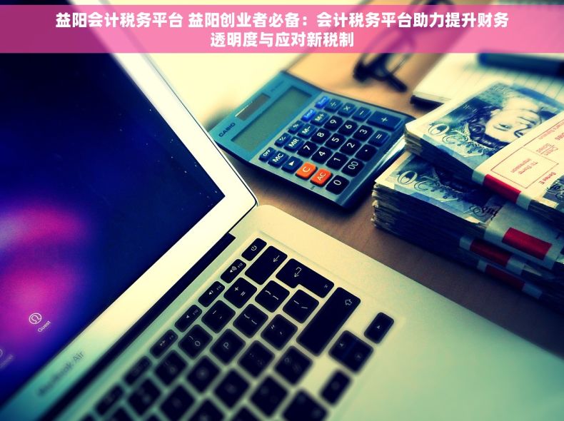 益阳会计税务平台 益阳创业者必备：会计税务平台助力提升财务透明度与应对新税制