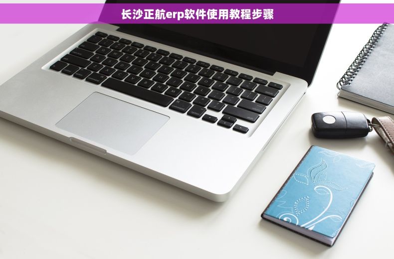 长沙正航erp软件使用教程步骤