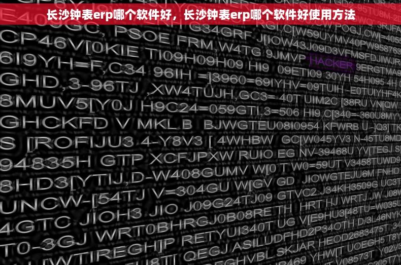 长沙钟表erp哪个软件好，长沙钟表erp哪个软件好使用方法