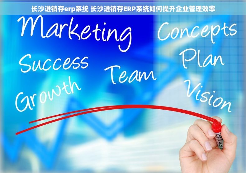 长沙进销存erp系统 长沙进销存ERP系统如何提升企业管理效率