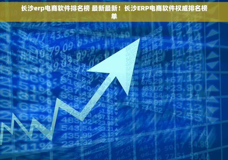 长沙erp电商软件排名榜 最新最新！长沙ERP电商软件权威排名榜单