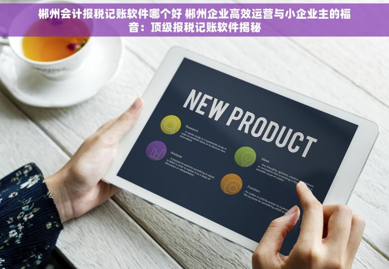 郴州会计报税记账软件哪个好 郴州企业高效运营与小企业主的福音：顶级报税记账软件揭秘