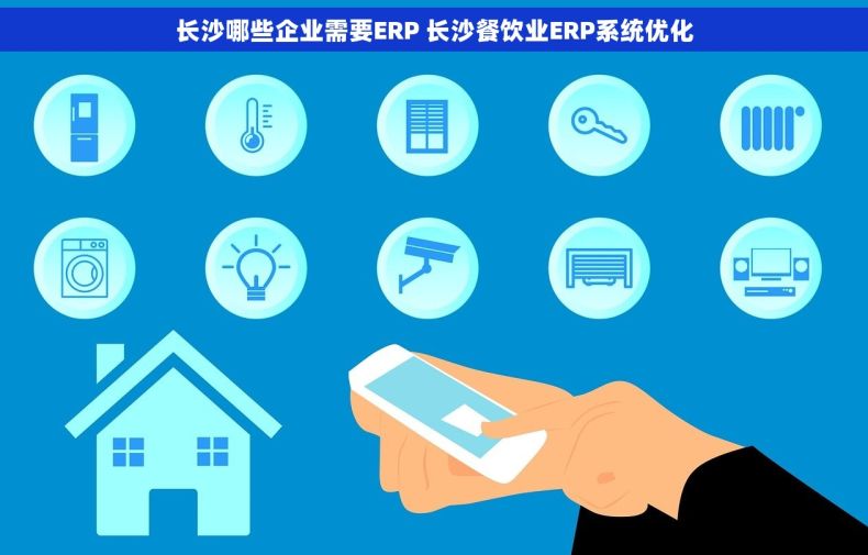 长沙哪些企业需要ERP 长沙餐饮业ERP系统优化