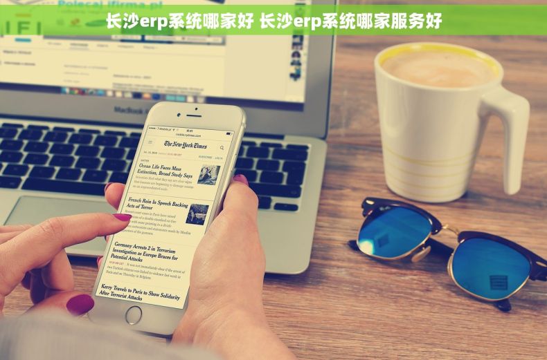 长沙erp系统哪家好 长沙erp系统哪家服务好