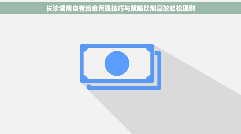长沙湖南自有资金管理技巧与策略助您高效轻松理财