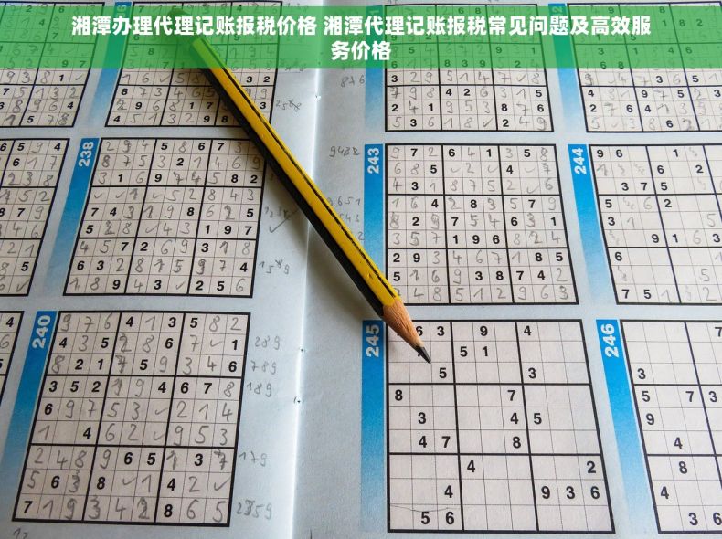 湘潭办理代理记账报税价格 湘潭代理记账报税常见问题及高效服务价格