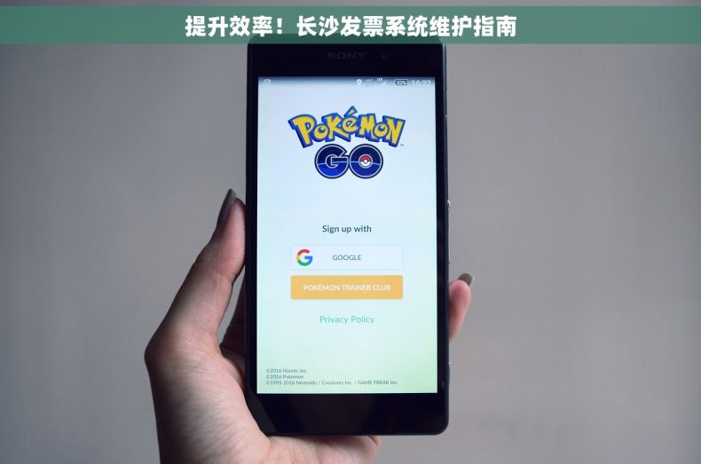 提升效率！长沙发票系统维护指南