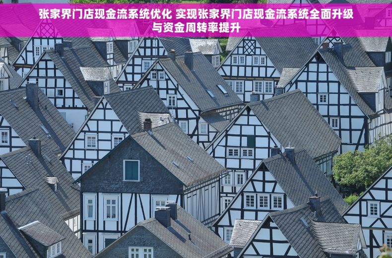 张家界门店现金流系统优化 实现张家界门店现金流系统全面升级与资金周转率提升