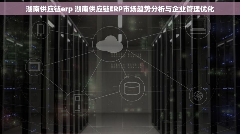 湖南供应链erp 湖南供应链ERP市场趋势分析与企业管理优化