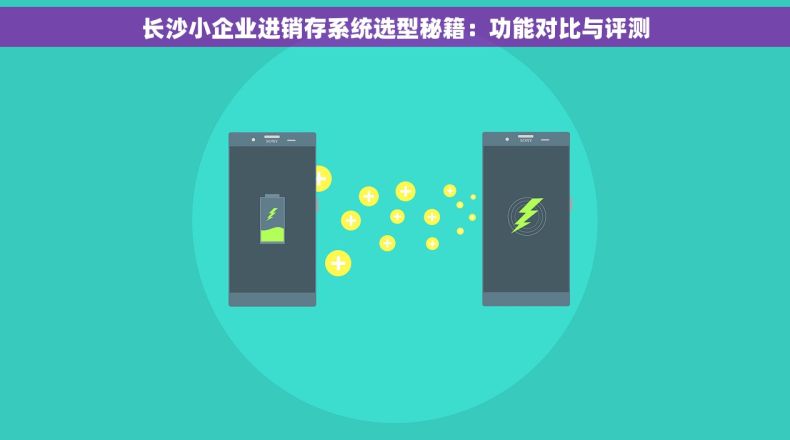 长沙小企业进销存系统选型秘籍：功能对比与评测