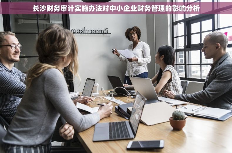 长沙财务审计实施办法对中小企业财务管理的影响分析