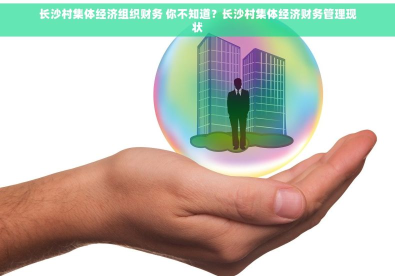 长沙村集体经济组织财务 你不知道？长沙村集体经济财务管理现状