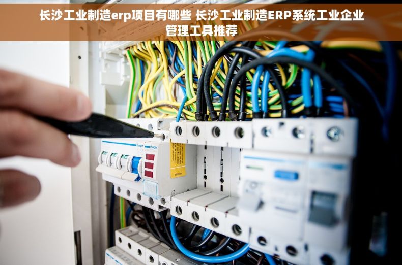 长沙工业制造erp项目有哪些 长沙工业制造ERP系统工业企业管理工具推荐