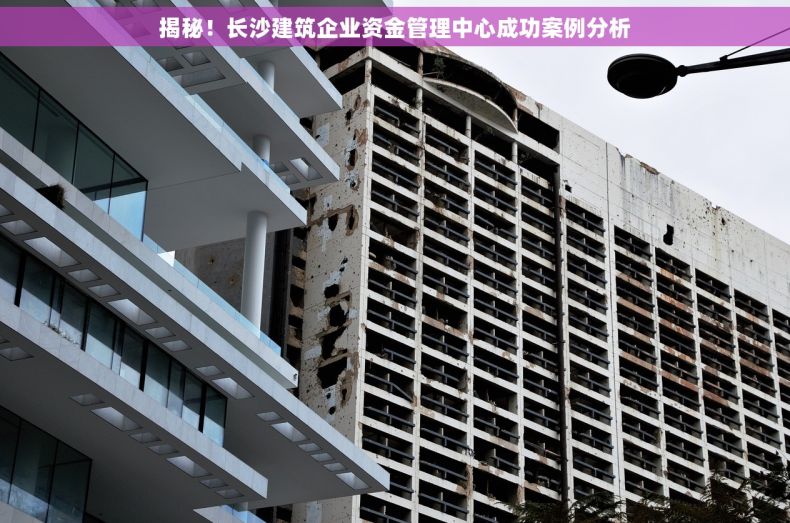 揭秘！长沙建筑企业资金管理中心成功案例分析