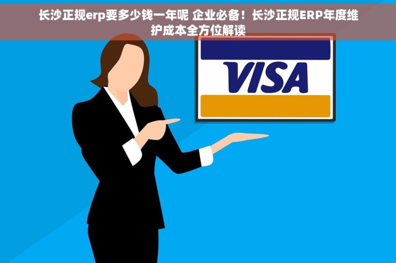 长沙正规erp要多少钱一年呢 企业必备！长沙正规ERP年度维护成本全方位解读