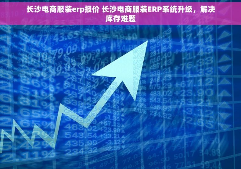 长沙电商服装erp报价 长沙电商服装ERP系统升级，解决库存难题