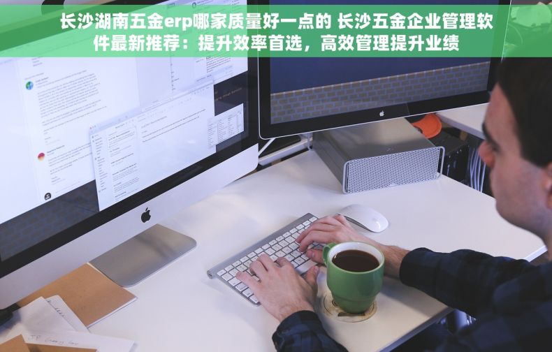 长沙湖南五金erp哪家质量好一点的 长沙五金企业管理软件最新推荐：提升效率首选，高效管理提升业绩