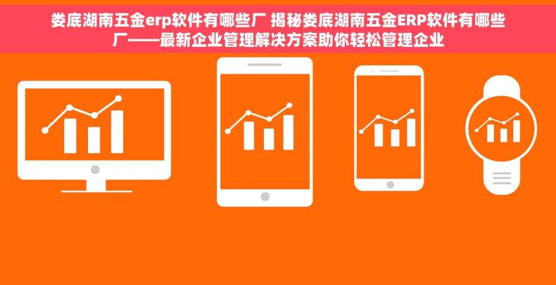 娄底湖南五金erp软件有哪些厂 揭秘娄底湖南五金ERP软件有哪些厂——最新企业管理解决方案助你轻松管理企业