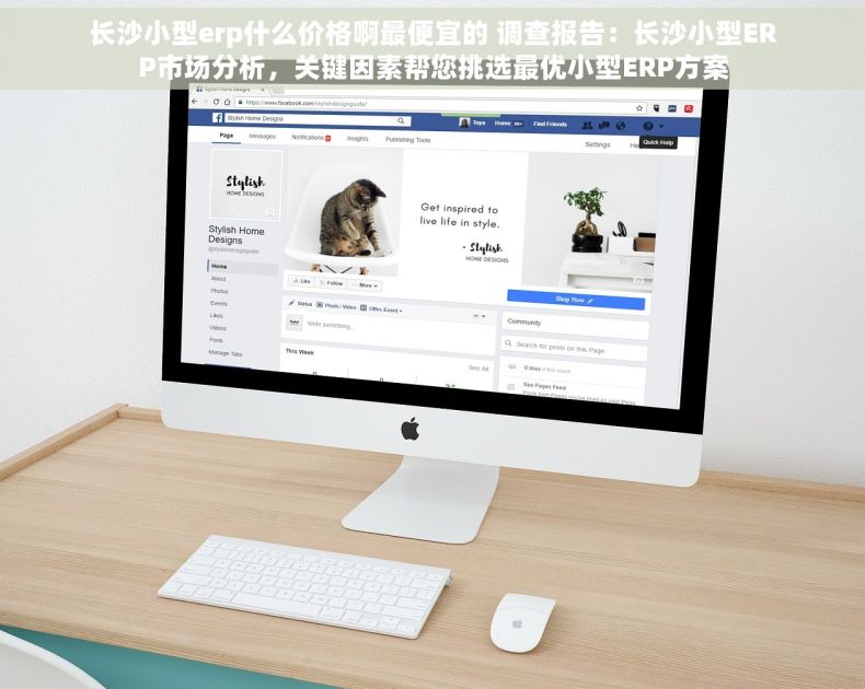 长沙小型erp什么价格啊最便宜的 调查报告：长沙小型ERP市场分析，关键因素帮您挑选最优小型ERP方案