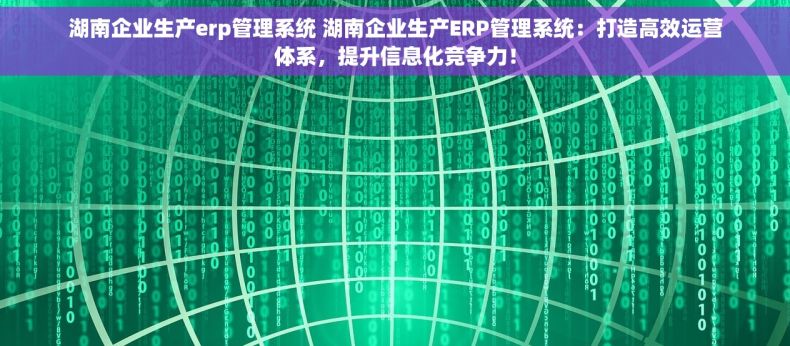 湖南企业生产erp管理系统 湖南企业生产ERP管理系统：打造高效运营体系，提升信息化竞争力！