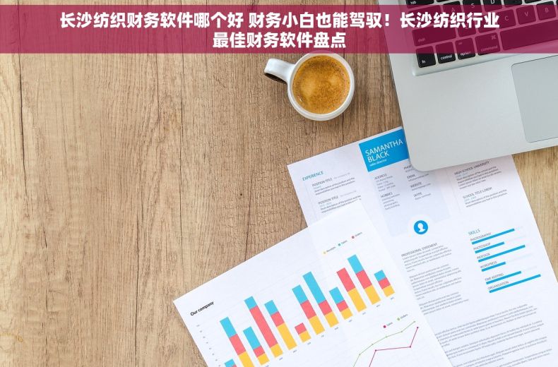 长沙纺织财务软件哪个好 财务小白也能驾驭！长沙纺织行业最佳财务软件盘点