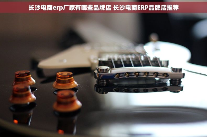 长沙电商erp厂家有哪些品牌店 长沙电商ERP品牌店推荐