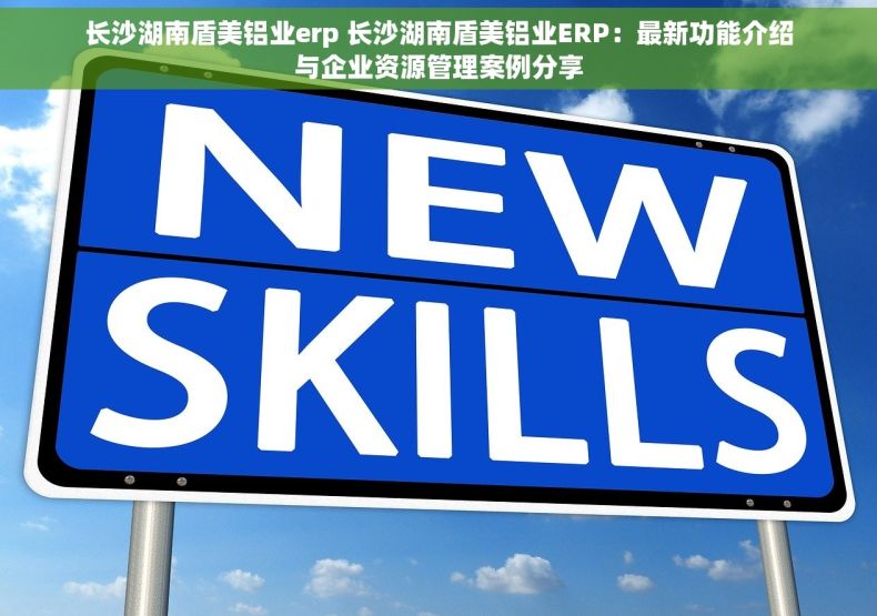 长沙湖南盾美铝业erp 长沙湖南盾美铝业ERP：最新功能介绍与企业资源管理案例分享