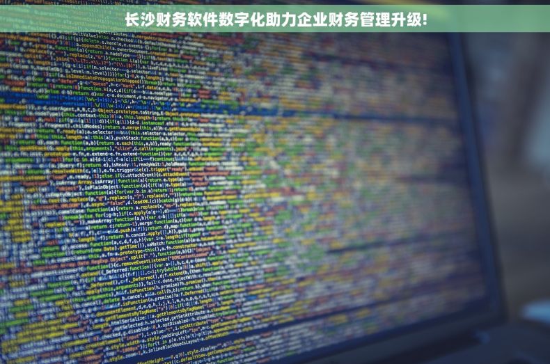 长沙财务软件数字化助力企业财务管理升级!
