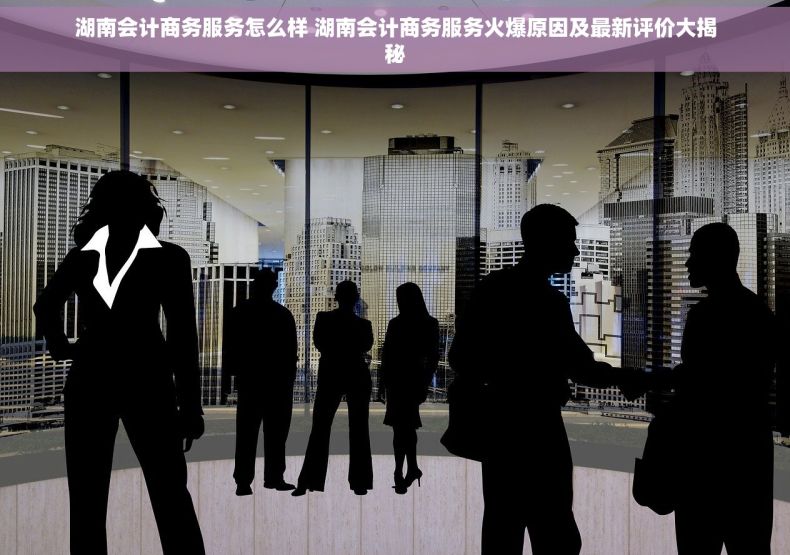 湖南会计商务服务怎么样 湖南会计商务服务火爆原因及最新评价大揭秘