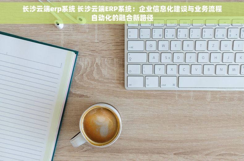 长沙云端erp系统 长沙云端ERP系统：企业信息化建设与业务流程自动化的融合新路径