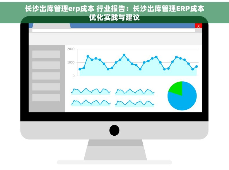 长沙出库管理erp成本 行业报告：长沙出库管理ERP成本优化实践与建议