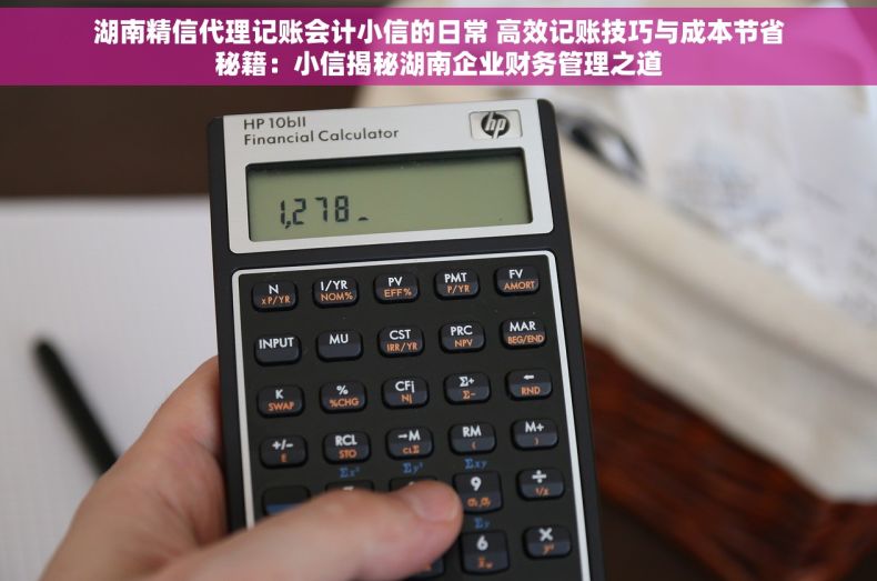 湖南精信代理记账会计小信的日常 高效记账技巧与成本节省秘籍：小信揭秘湖南企业财务管理之道