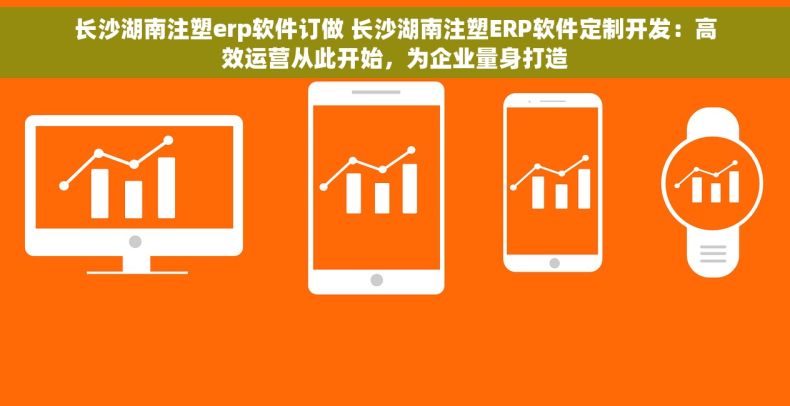 长沙湖南注塑erp软件订做 长沙湖南注塑ERP软件定制开发：高效运营从此开始，为企业量身打造
