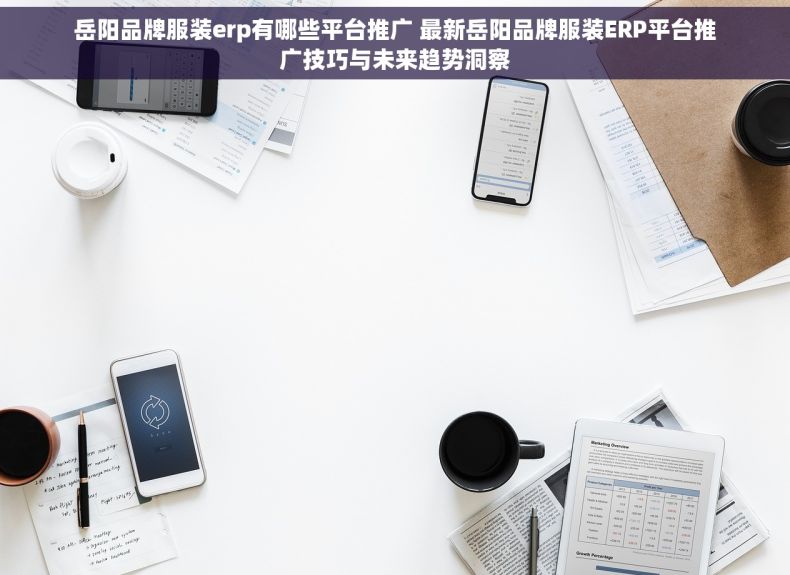 岳阳品牌服装erp有哪些平台推广 最新岳阳品牌服装ERP平台推广技巧与未来趋势洞察