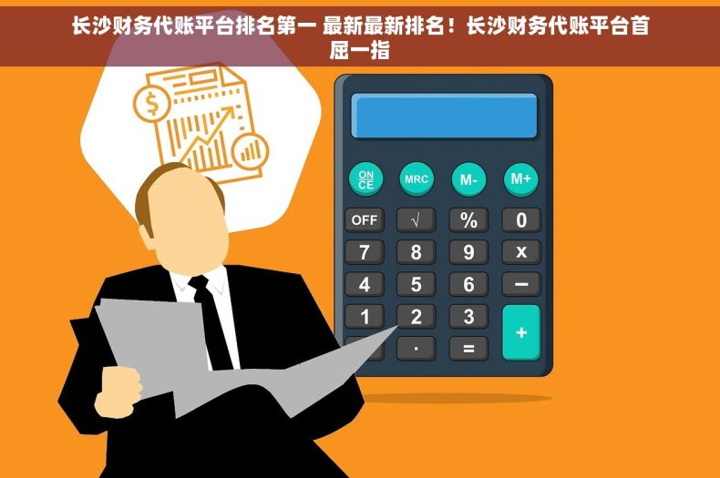 长沙财务代账平台排名第一 最新最新排名！长沙财务代账平台首屈一指
