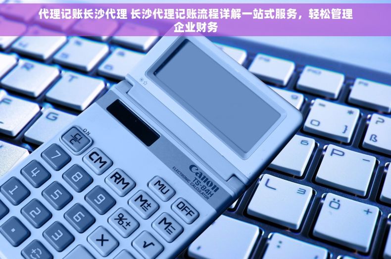 代理记账长沙代理 长沙代理记账流程详解一站式服务，轻松管理企业财务