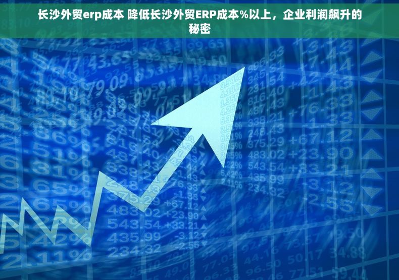 长沙外贸erp成本 降低长沙外贸ERP成本%以上，企业利润飙升的秘密