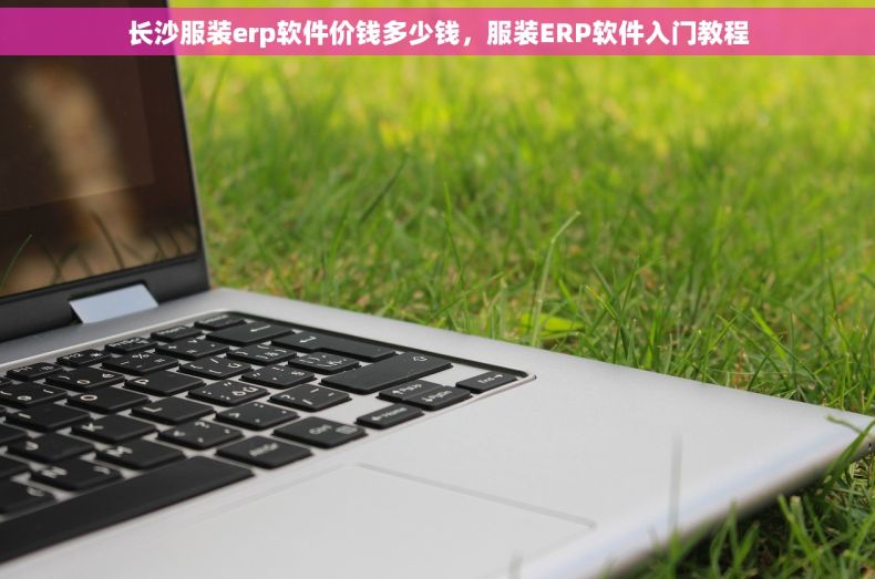 长沙服装erp软件价钱多少钱，服装ERP软件入门教程