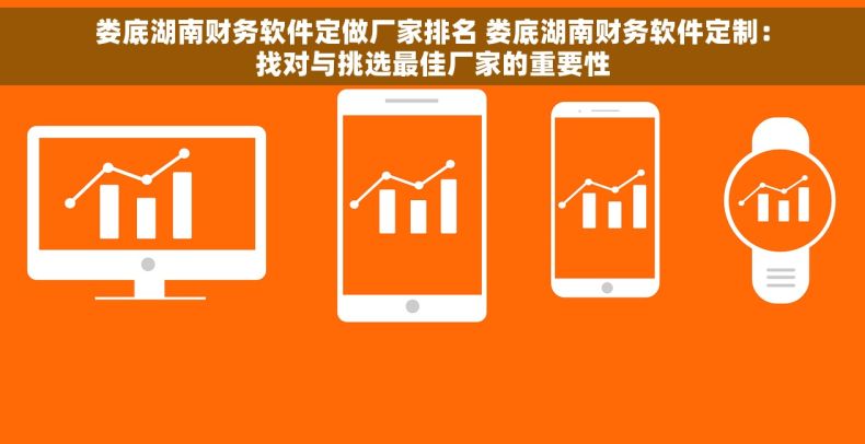 娄底湖南财务软件定做厂家排名 娄底湖南财务软件定制：找对与挑选最佳厂家的重要性
