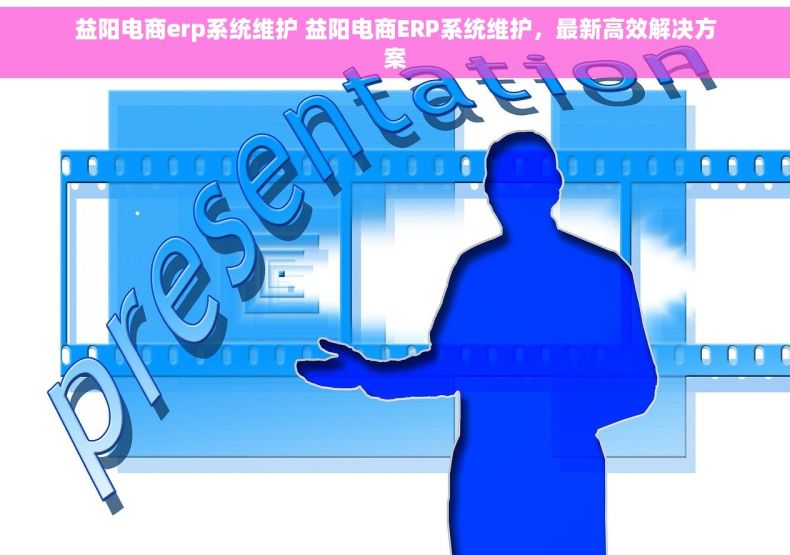 益阳电商erp系统维护 益阳电商ERP系统维护，最新高效解决方案