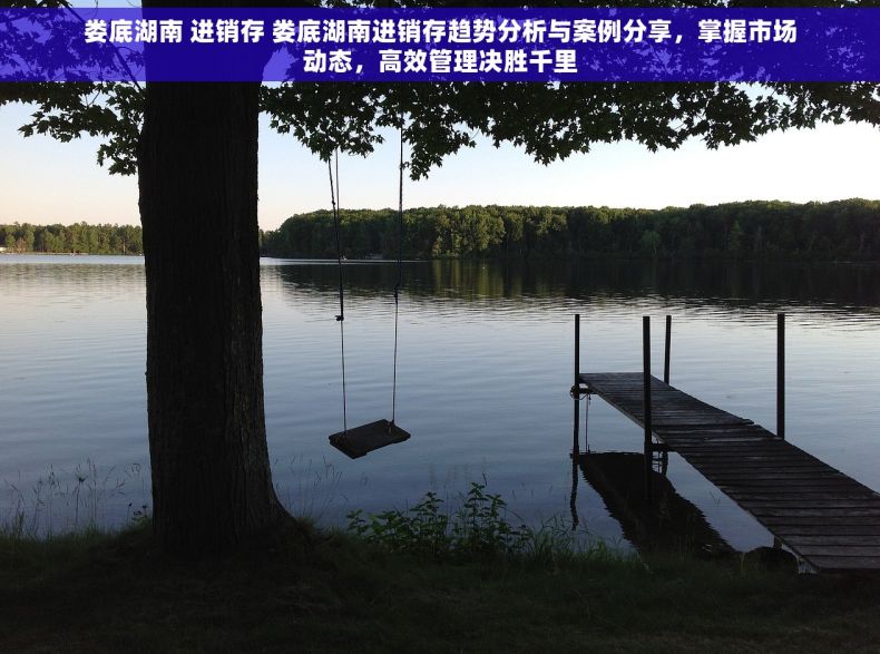 娄底湖南 进销存 娄底湖南进销存趋势分析与案例分享，掌握市场动态，高效管理决胜千里