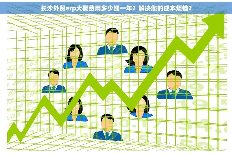 长沙外贸erp大概费用多少钱一年？解决您的成本烦恼？