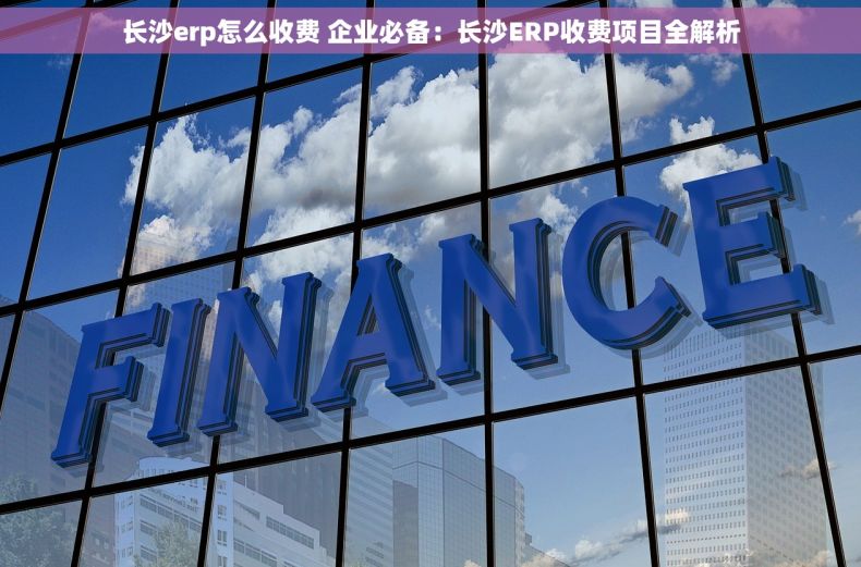 长沙erp怎么收费 企业必备：长沙ERP收费项目全解析