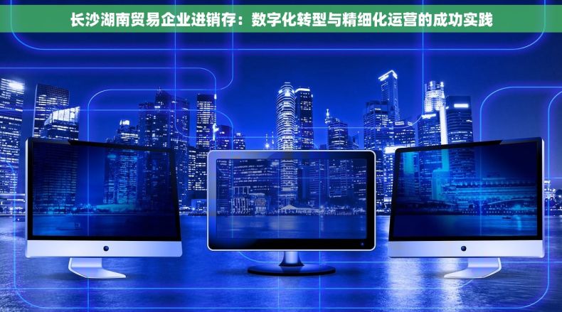 长沙湖南贸易企业进销存：数字化转型与精细化运营的成功实践